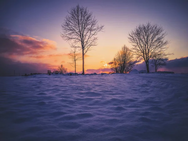 Calma Moody Foto Del Campo Con Foresta Esso Bellissimo Tramonto — Foto Stock