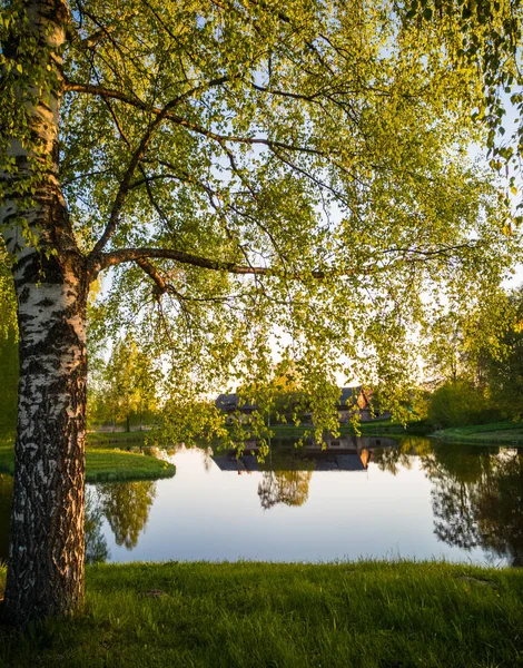 Hermosa Reflexión Del Árbol Lago Soleado Día Primavera Colores Otoño — Foto de Stock