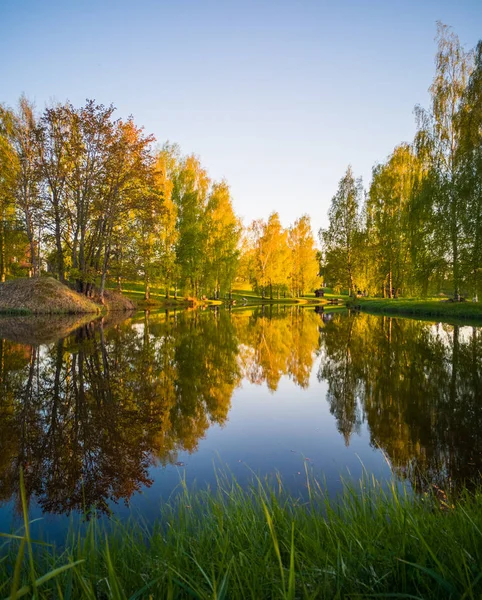 Hermosa Reflexión Del Árbol Lago Soleado Día Primavera Colores Otoño — Foto de Stock