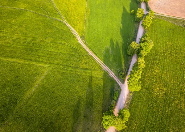 Drone Foto Encrucijada Entre Los Árboles Colorida Primavera Temprana Campo — Foto de Stock