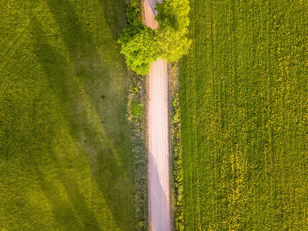 Drohne Foto Der Straße Zwischen Bäumen Bunten Vorfrühling Ländlichen Dorf — Stockfoto