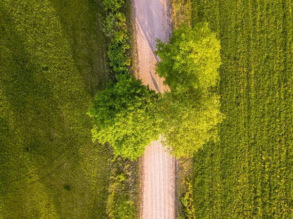 Drone Foto Carretera Entre Árboles Colorida Primavera Temprana Aldea Campo —  Fotos de Stock