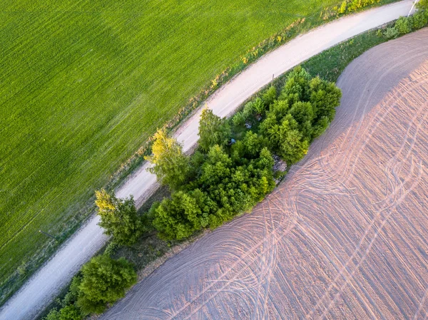 乡村乡村彩色早春树间路的无人机照片 在一侧的新鲜修剪的田野和其他耕地 — 图库照片