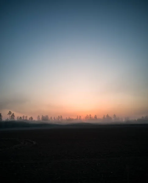 Kırsal Yol Yanı Sıra Sabah Erken Ağaçların Bir Plan Arka — Stok fotoğraf