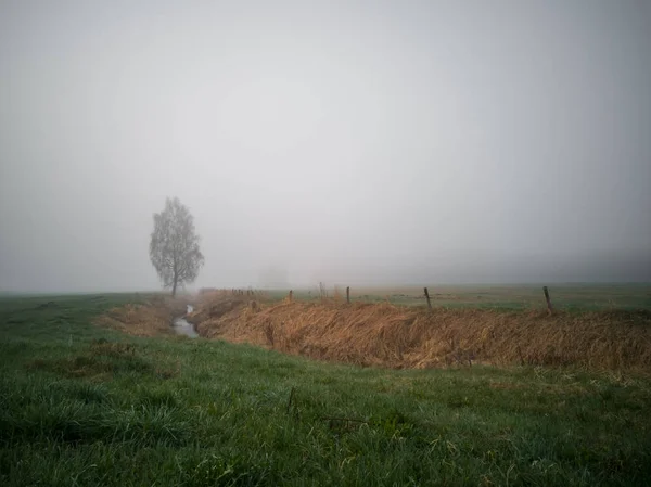 Bir Plan Arka Plan Kapsayan Bir Ağır Sis Bir Alanla — Stok fotoğraf