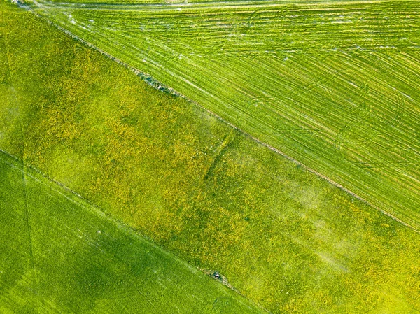 Drone Photo Freshly Mowed Field Colorful Early Spring Day Countryside — Stock Photo, Image