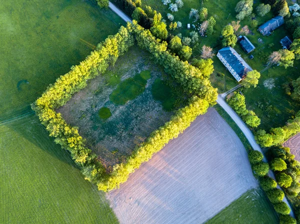 Drone Zdjęcie Drogi Między Drzew Kolorowe Early Spring Otoczone Świeżo — Zdjęcie stockowe