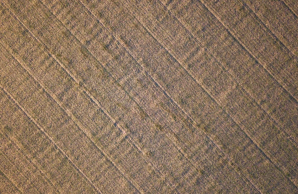 Foto Zangão Campo Recém Cultivada Com Textura Aldeia Rural Num — Fotografia de Stock