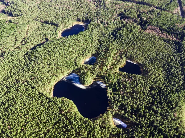 Fotografía Aérea Drones Lago Parcialmente Congelado Una Primavera Nevada — Foto de Stock