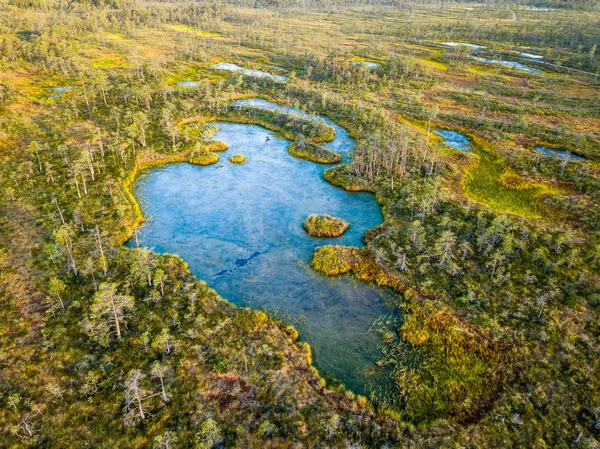 Moody Drone Foto Colorido Páramo Principios Verano Amanecer Con Pequeños — Foto de Stock