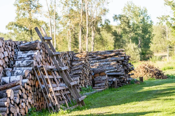 Куча Бревен Заднем Дворе Солнечный Летний Вечер Деревянные Лестницы Против — стоковое фото