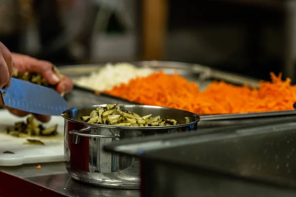 Female Chef Slicing Pickled Cucumbers for Salads, Wedding Meal - Kitchen Set with Isolated Action, Only Chef`s Hands