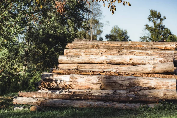 Pile Logs Backyard Sunny Summer Evening Sun Rays Shining Them — Stock Photo, Image