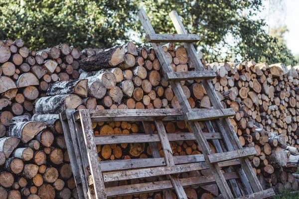 A Pile of Logs in the Backyard on the Sunny Summer Evening, Wooden Stairs Against it - Vintage Film Look