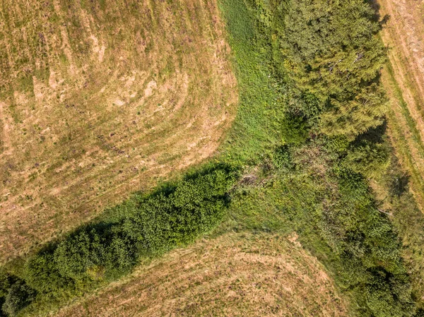 Drone Aéreo Foto Hay Rolls Campo Trigo Rodeado Florestas Dia — Fotografia de Stock