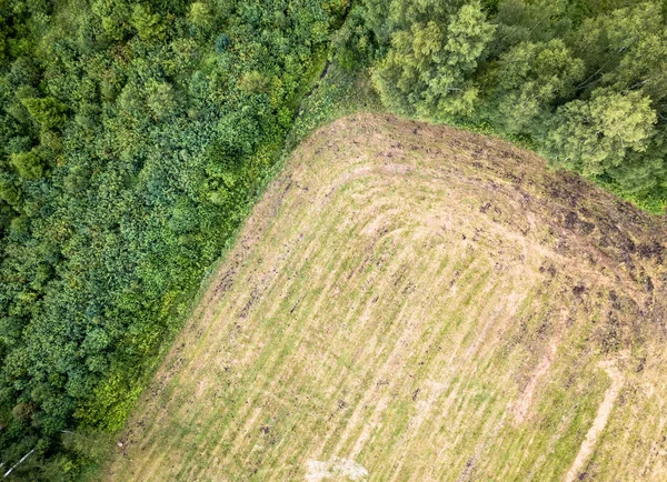 Drone Aéreo Foto Floresta Campo Cima Para Baixo Vista Dia — Fotografia de Stock