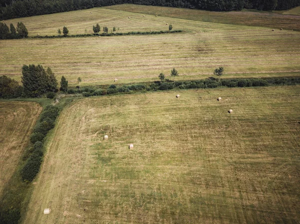 Aerial Drone Photo Hay Rolls Wheat Field Surrounded Forests Sunny — Stock Photo, Image