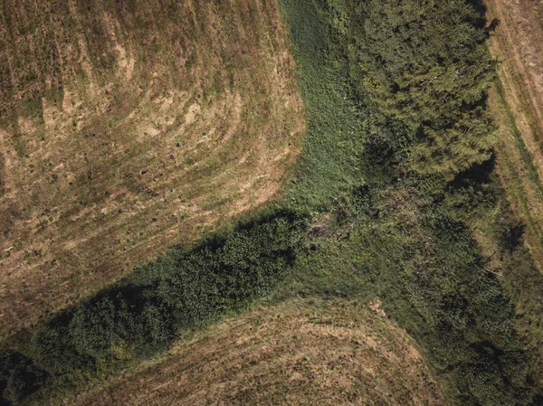 Drone Aéreo Foto Rolos Feno Campo Trigo Rodeado Florestas Dia — Fotografia de Stock
