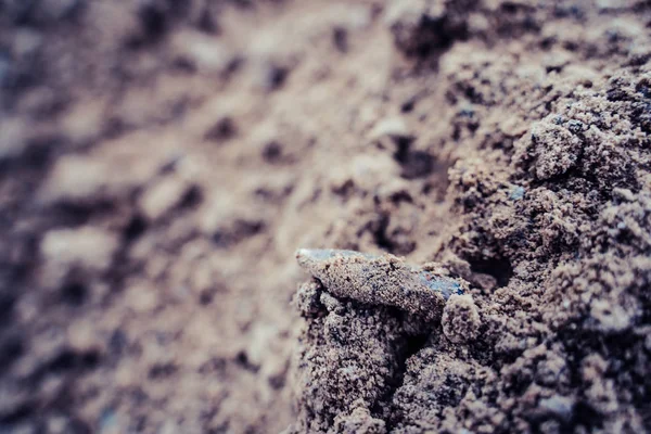 Close Beeld Van Kogel Van Shot Met Ballistische Merken Sands — Stockfoto