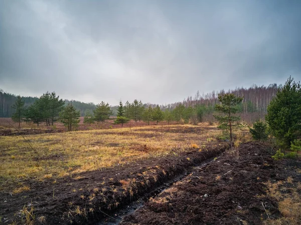 Порожній Сільський Пейзаж Болоті Концепція Гармонії Подорожей — стокове фото