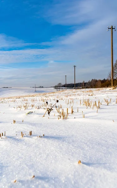 Paesaggio Campagna Vuoto Nella Giornata Invernale Soleggiata Con Neve Che — Foto Stock