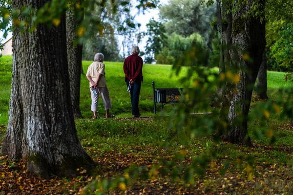 Old People Walking in Park on a Sunny Autumn Day - Concept Peace and Harmony