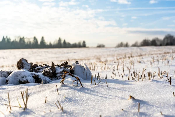 Güneşli Kış Günü Kar Zemin Kaplama Ile Kırsal Manzara Boş — Stok fotoğraf