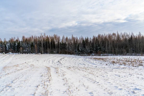 Paisagem Rural Vazia Dia Inverno Ensolarado Com Neve Cobrindo Solo — Fotografia de Stock