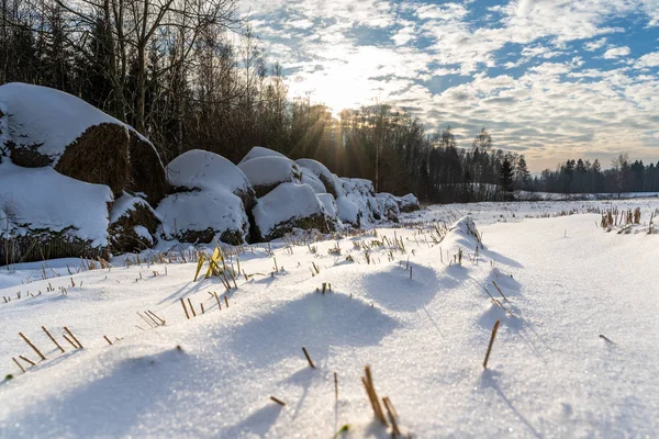 Paisagem Rural Vazia Dia Inverno Ensolarado Com Neve Cobrindo Solo — Fotografia de Stock
