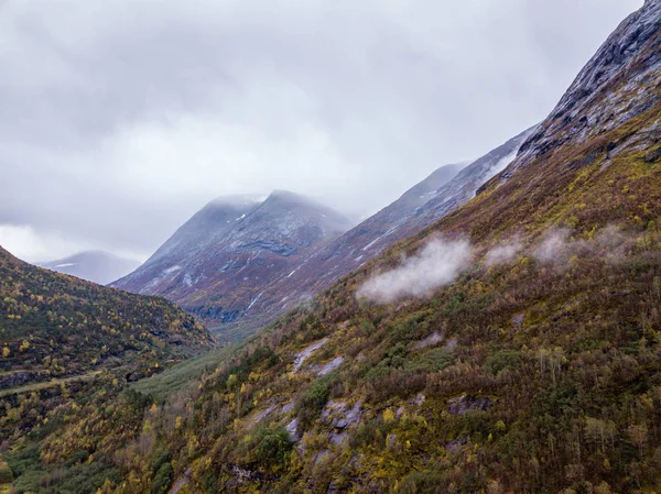 Κηφήνας Φωτογραφία Των Δασών Στα Βουνά Της Νορβηγίας Σύννεφα Που — Φωτογραφία Αρχείου