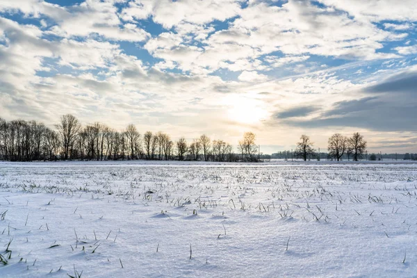 Güneşli Kış Günü Kar Zemin Kaplama Ile Kırsal Manzara Boş — Stok fotoğraf