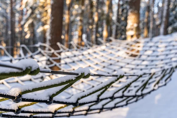 Photo of Outdoor Playground Elements in Forest in Sunny Winter, Abstract Background, Selective Focus with Closeup on Safety Net - Symbolizing Reliability