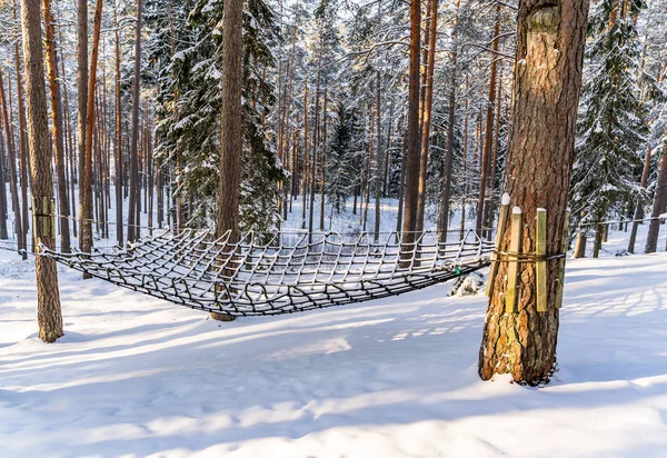 Photo of Outdoor Playground Elements in Forest in Sunny Winter, Abstract Background, Safety Net - Symbolizing Reliability