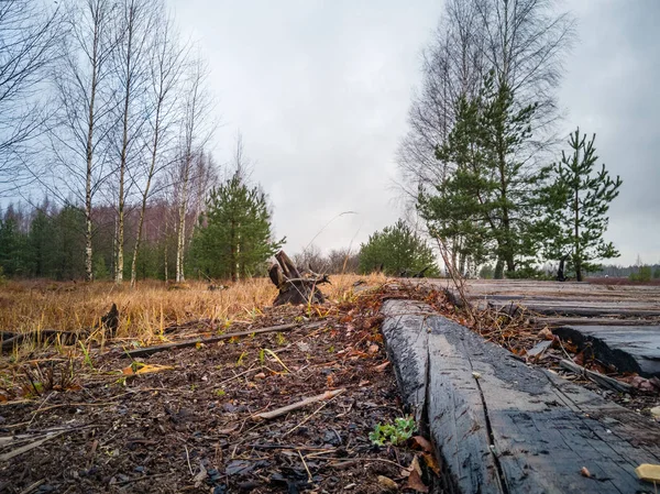 Paisaje de campo vacío en pantano con pocos troncos en primer plano —  Fotos de Stock