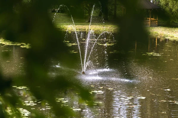 Foto colorida de la fuente en un parque, entre bosques con hojas borrosas en primer plano — Foto de Stock