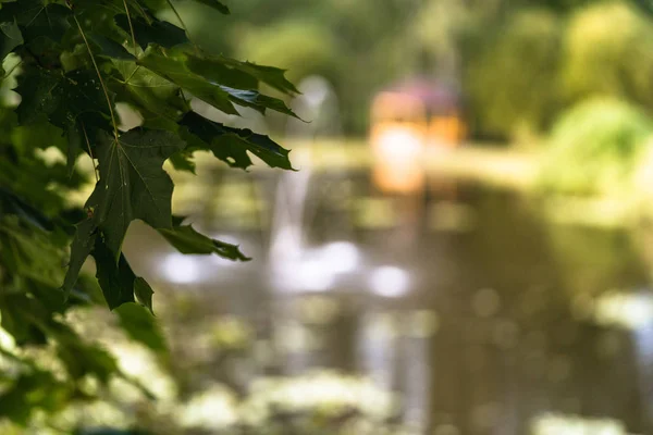 Foto colorida de la fuente borrosa en un parque, entre bosques con hojas de árboles en primer plano — Foto de Stock