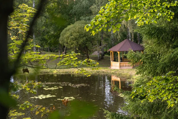 Foto colorida de la casa de jardín de verano de madera en un parque, entre bosques con tallos de hierba borrosa en primer plano - Día soleado de otoño — Foto de Stock