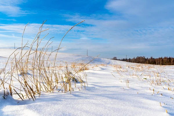 Zemin, soyut arka plan kapsayan kar ile güneşli kış günü boş kırsal manzara — Stok fotoğraf