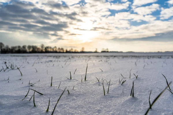 Paisagem rural vazia no dia de inverno ensolarado com neve cobrindo o solo, fundo abstrato — Fotografia de Stock