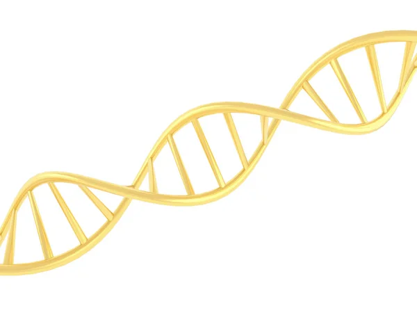 Beyaz zemin üzerine altın Dna sembolü. 3D render illüstrasyon.