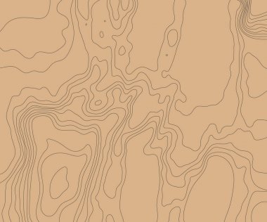 Topographic relief map of the earth. Vector illustration . clipart