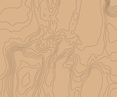 Topographic relief map of the earth. Vector illustration . clipart