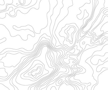 Beyaz arka plan üzerinde topografik harita. Vektör çizimi .