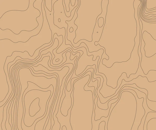 Mapa Topográfico Relieve Tierra Ilustración Vectorial — Vector de stock