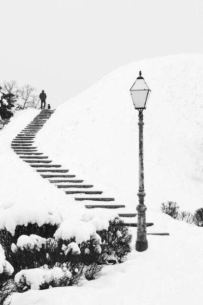 An artistic black and white picture with black stairs and a lamp on the white snow|trees|hill|man|dog|walking