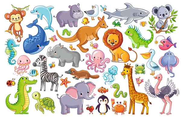 Cute Wild Animals Isolated White Background Vector Graphics