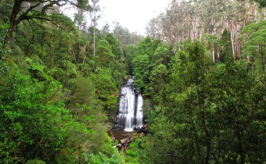 Küçük Aire Falls büyük Otway Milli Park, Avustralya.