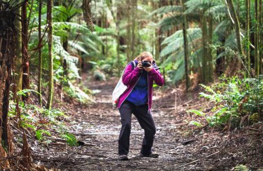 Bir uzun yürüyüşe çıkan kimse bir fotoğraf çekmek için ormanlık bir iz üzerinde durur. Büyük Otway Milli Park, Avustralya.