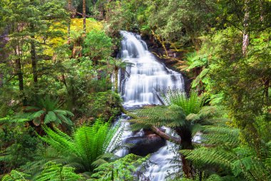 Triplet Falls in the Great Otway National Park, Victoria, Australia. clipart