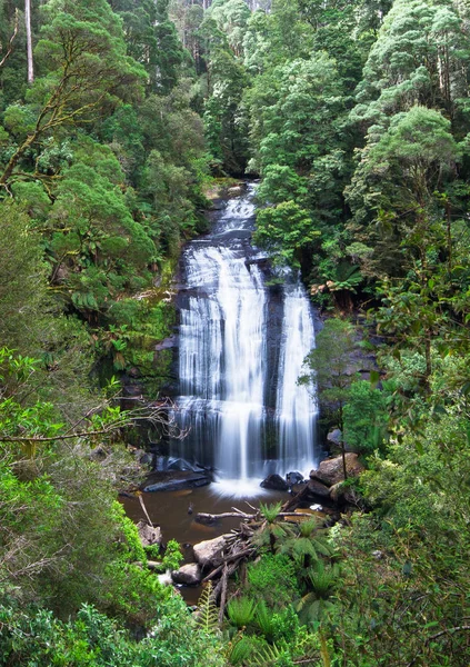 Küçük Aire Falls büyük Otway Milli Park, Avustralya.